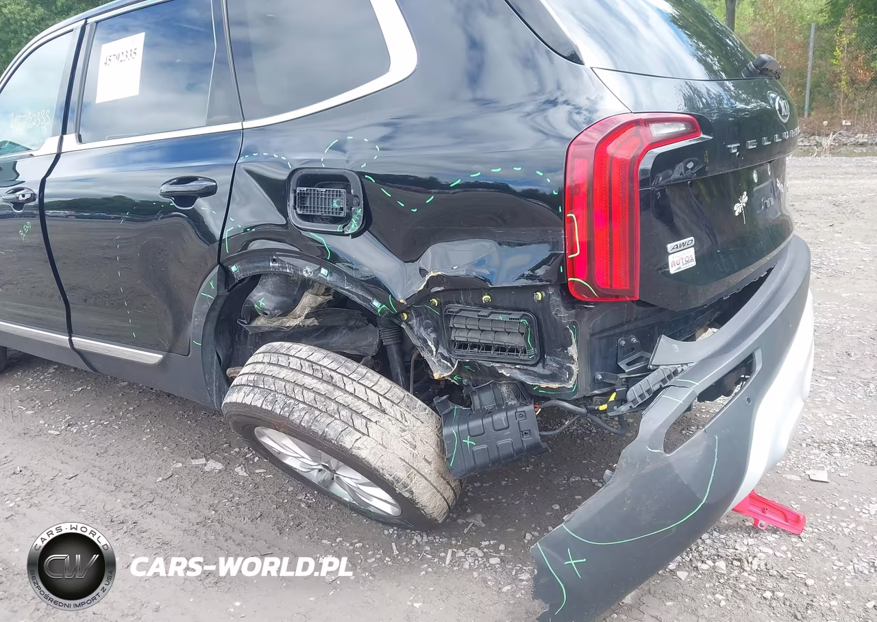 2020 Kia Telluride Lx VIN:5XYP2DHC0LG043220 - 17