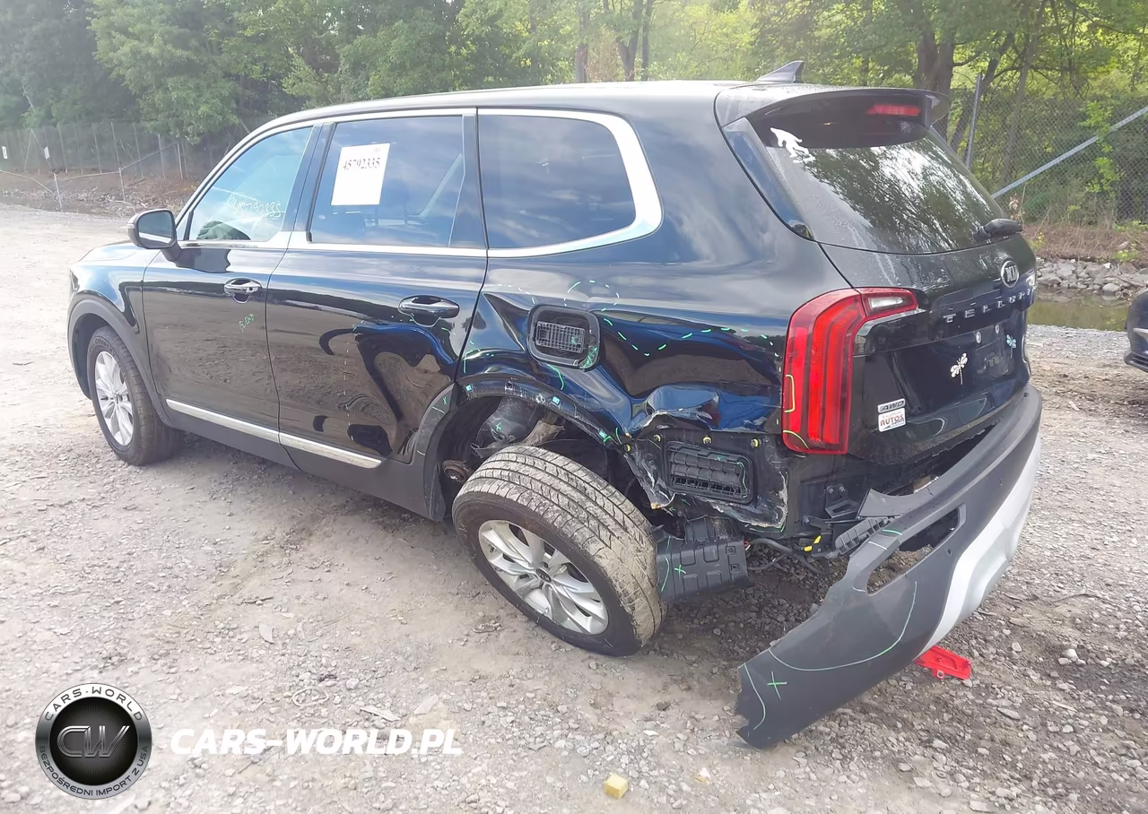 2020 Kia Telluride Lx VIN:5XYP2DHC0LG043220 - 3