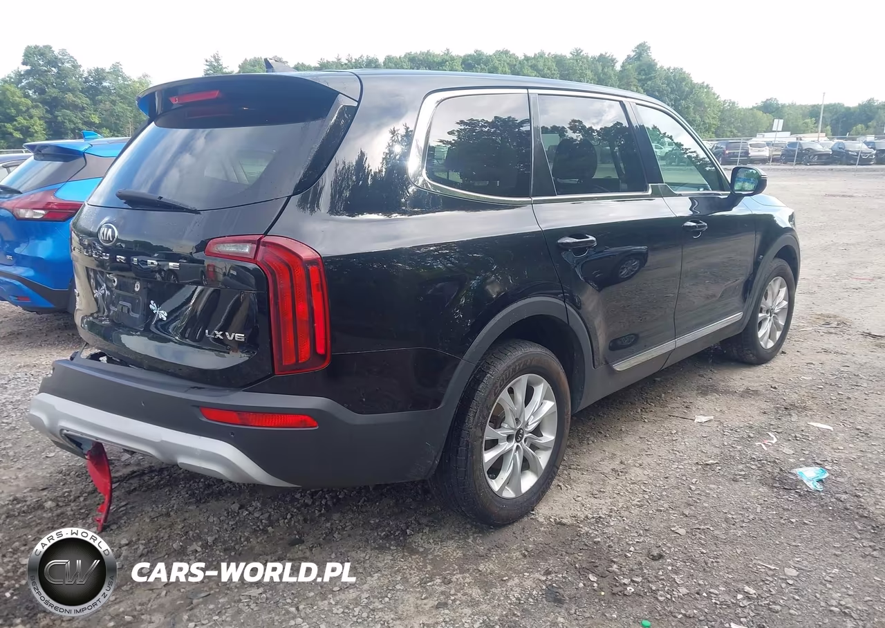 2020 Kia Telluride Lx VIN:5XYP2DHC0LG043220 - 4