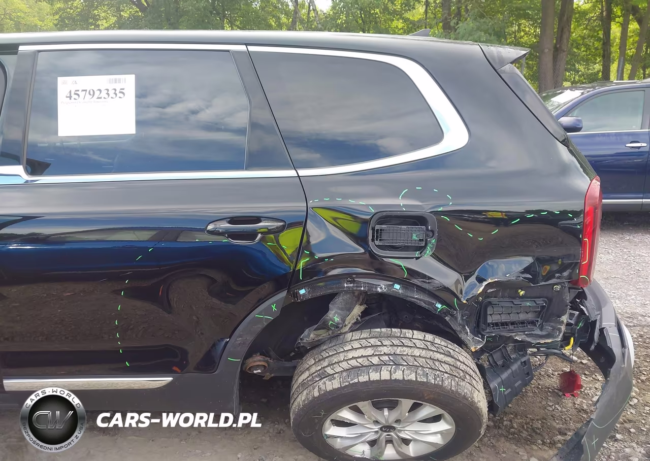 2020 Kia Telluride Lx VIN:5XYP2DHC0LG043220 - 6
