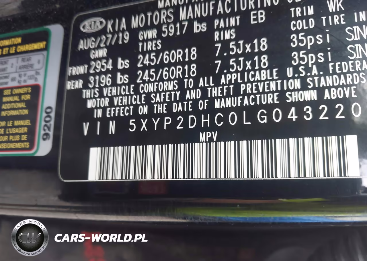 2020 Kia Telluride Lx VIN:5XYP2DHC0LG043220 - 9