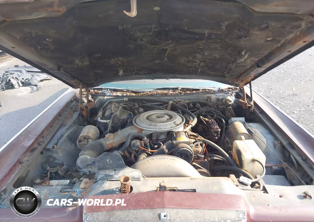 1979 Lincoln Continental VIN:9Y82S668905 - 10