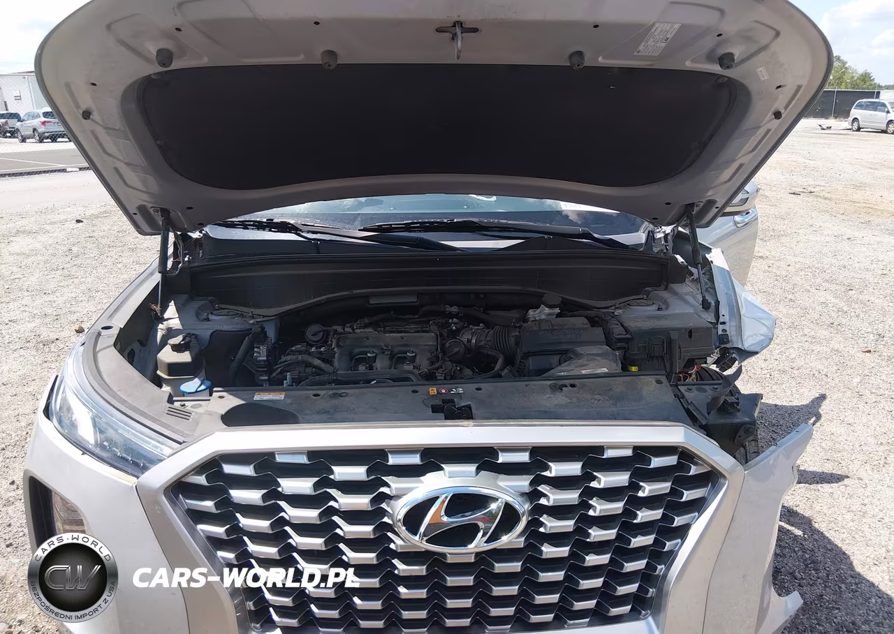 2021 Hyundai Palisade Sel VIN:KM8R44HE1MU270996 - 10