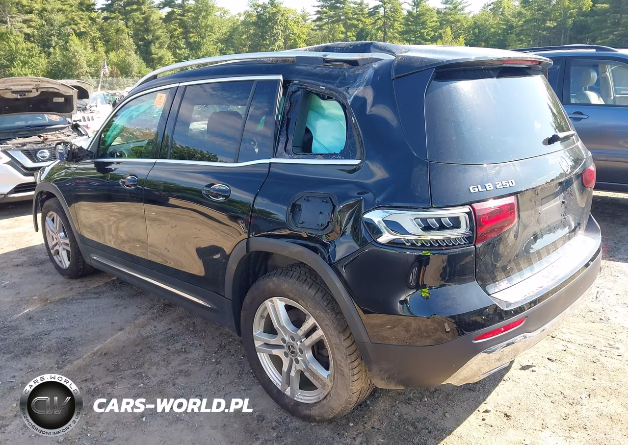2020 Mercedes-Benz Glb 250 4Matic VIN:W1N4M4HB9LW028084 - 3
