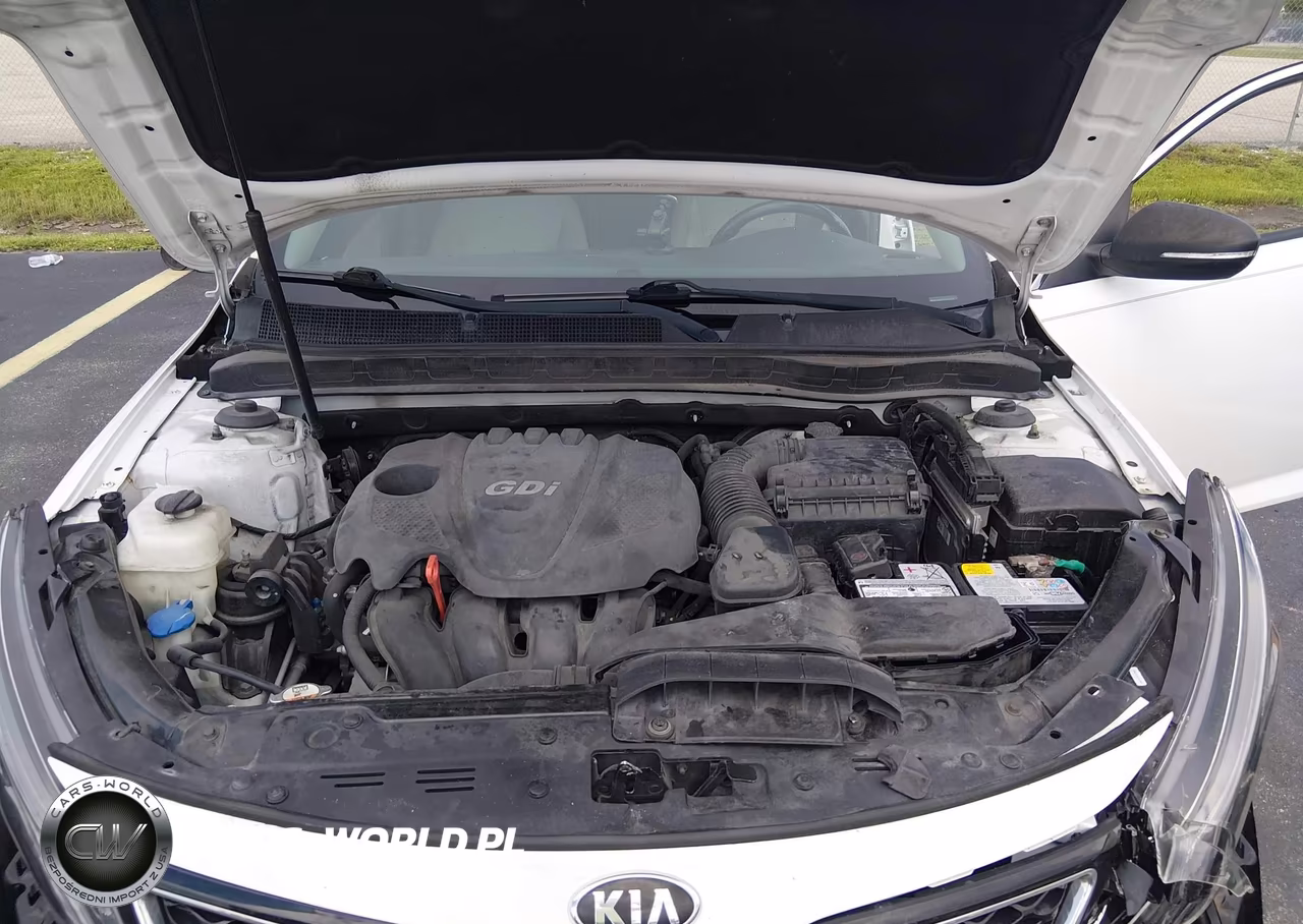 2015 Kia Optima Ex VIN:5XXGN4A71FG492659 - 10