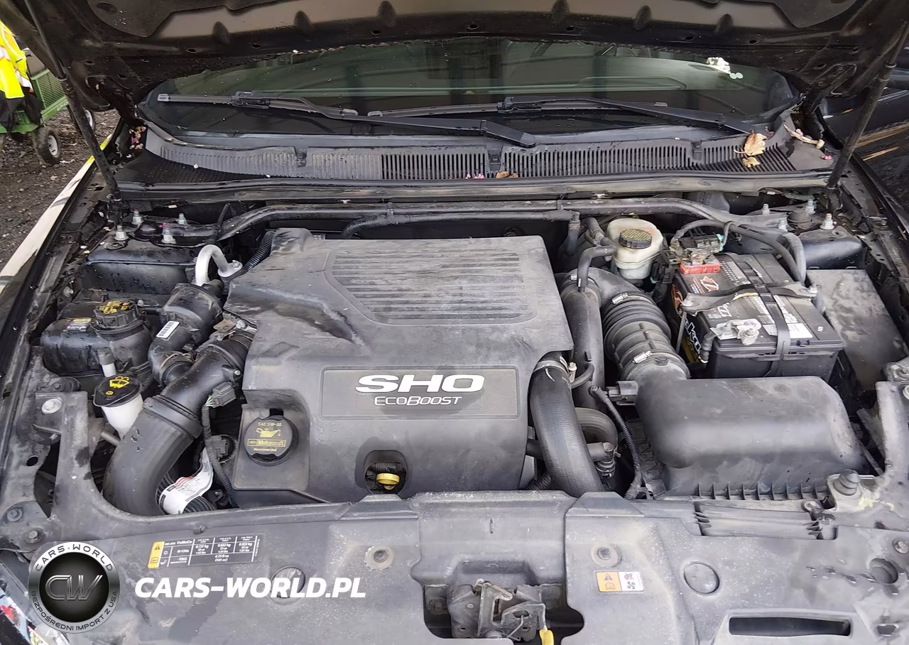 2013 Ford Taurus Sho VIN:1FAHP2KT4DG118184 - 10