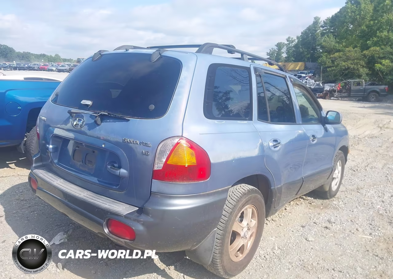 2002 Hyundai Santa Fe Gls-Lx VIN:KM8SC13D32U166198 - 4