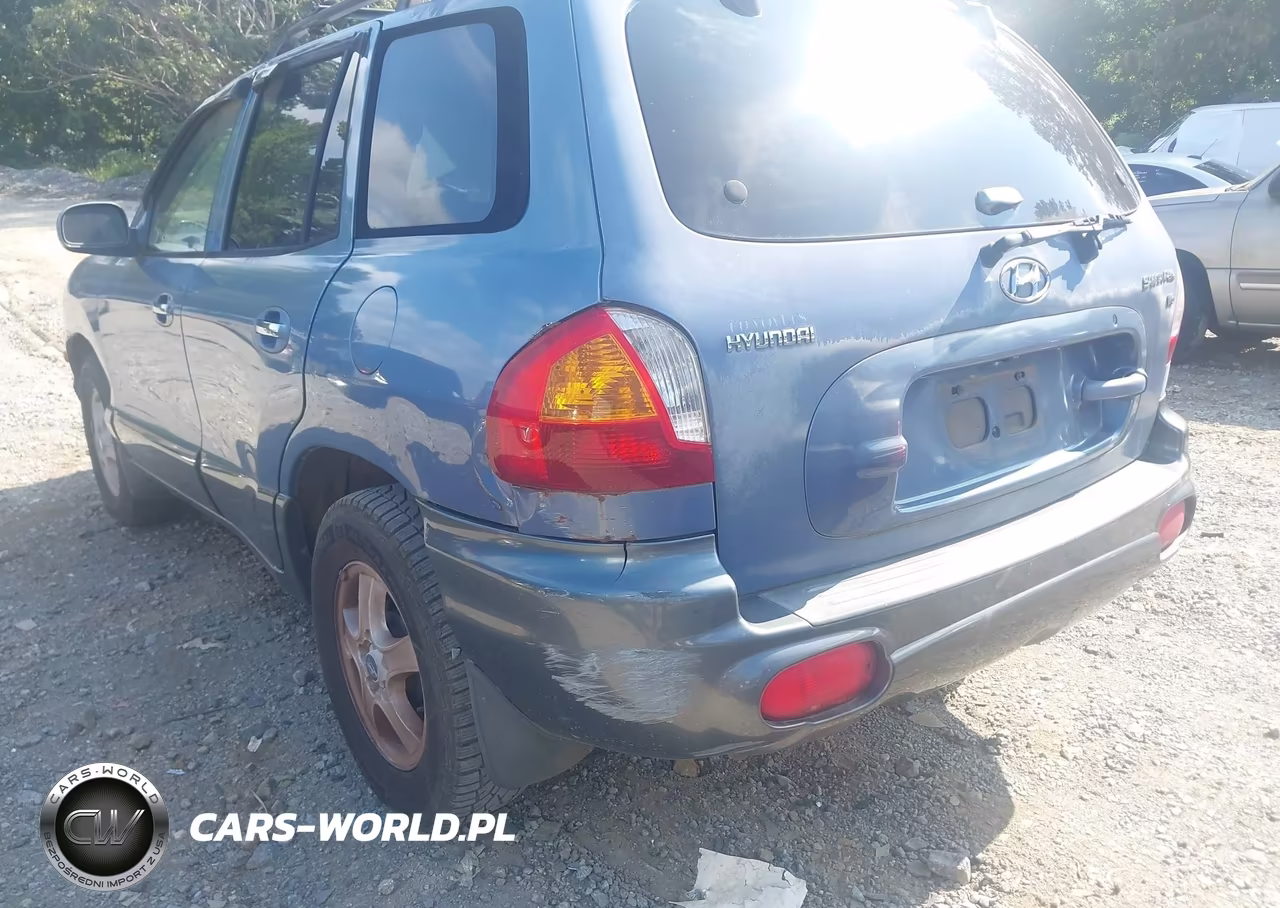 2002 Hyundai Santa Fe Gls-Lx VIN:KM8SC13D32U166198 - 6
