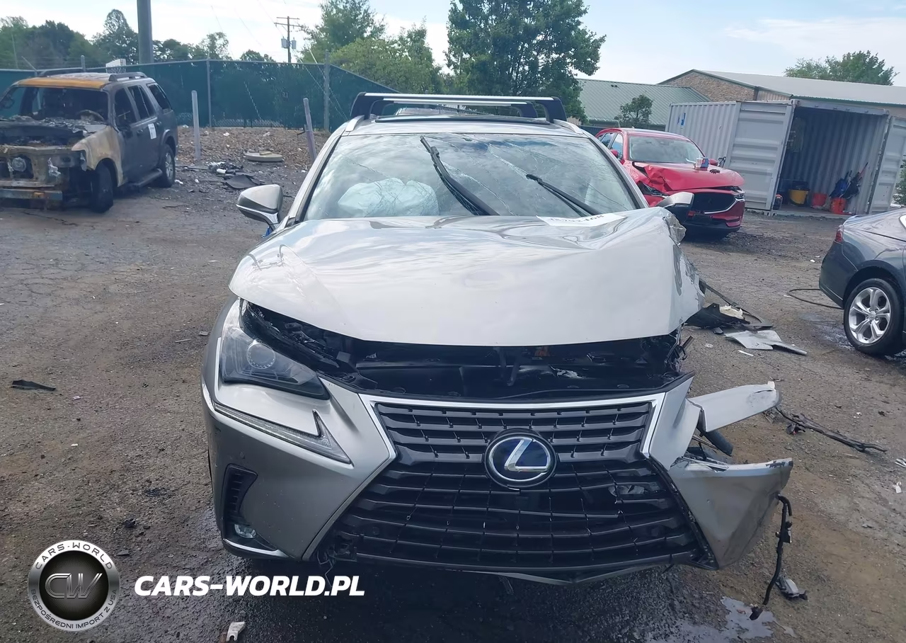 2020 Lexus Nx 300H VIN:JTJGJRDZ8L2140828 - 13