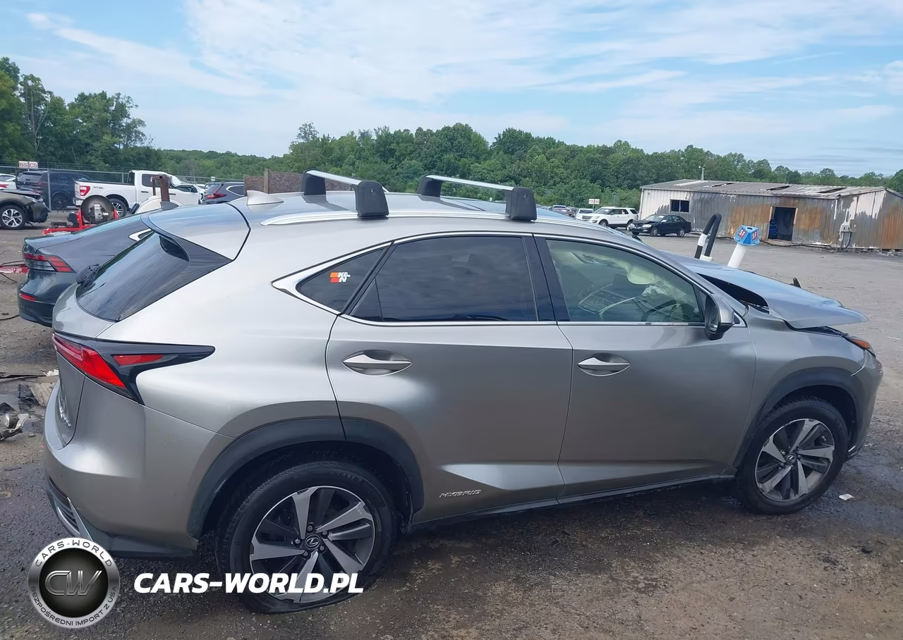 2020 Lexus Nx 300H VIN:JTJGJRDZ8L2140828 - 14