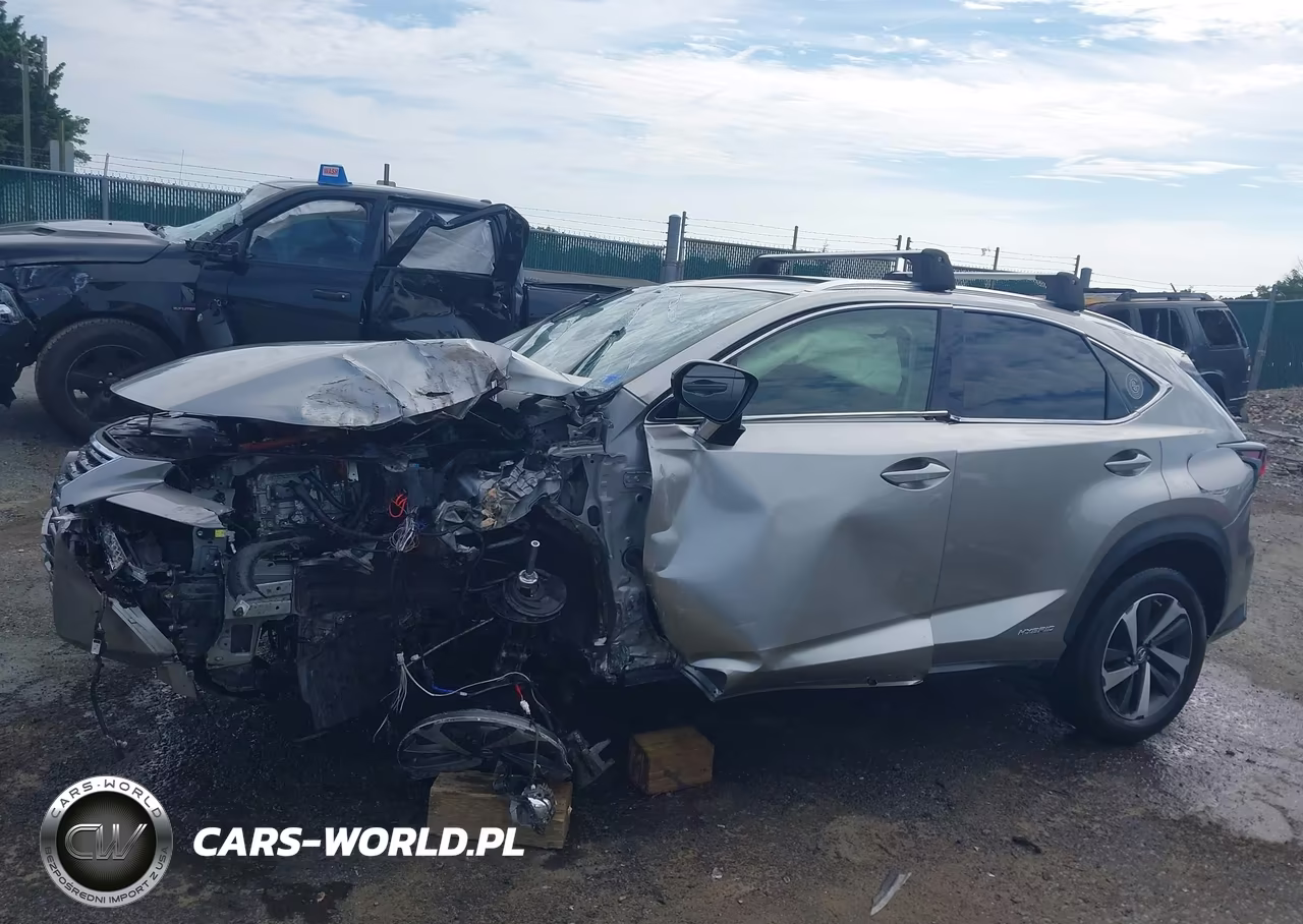 2020 Lexus Nx 300H VIN:JTJGJRDZ8L2140828 - 15