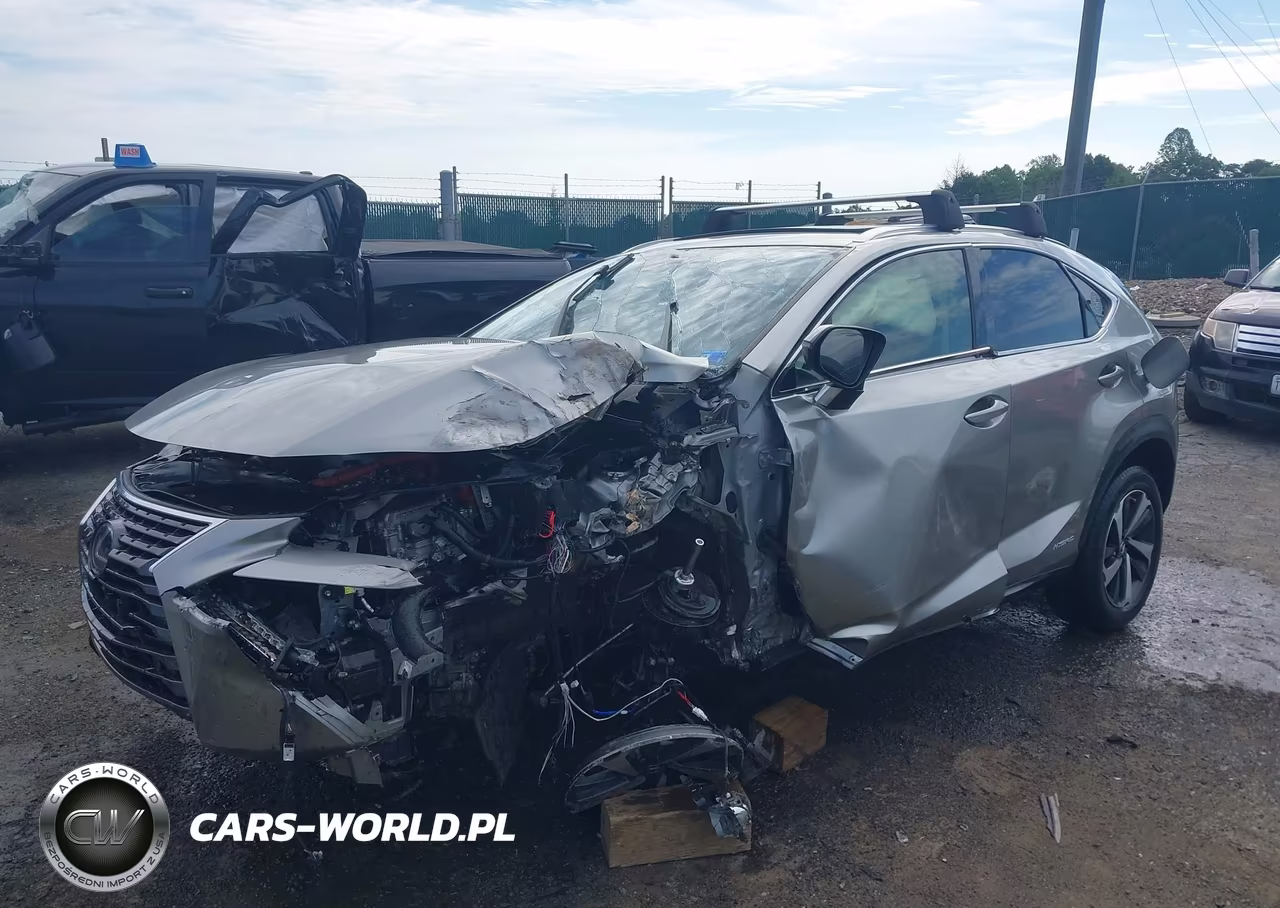 2020 Lexus Nx 300H VIN:JTJGJRDZ8L2140828 - 2