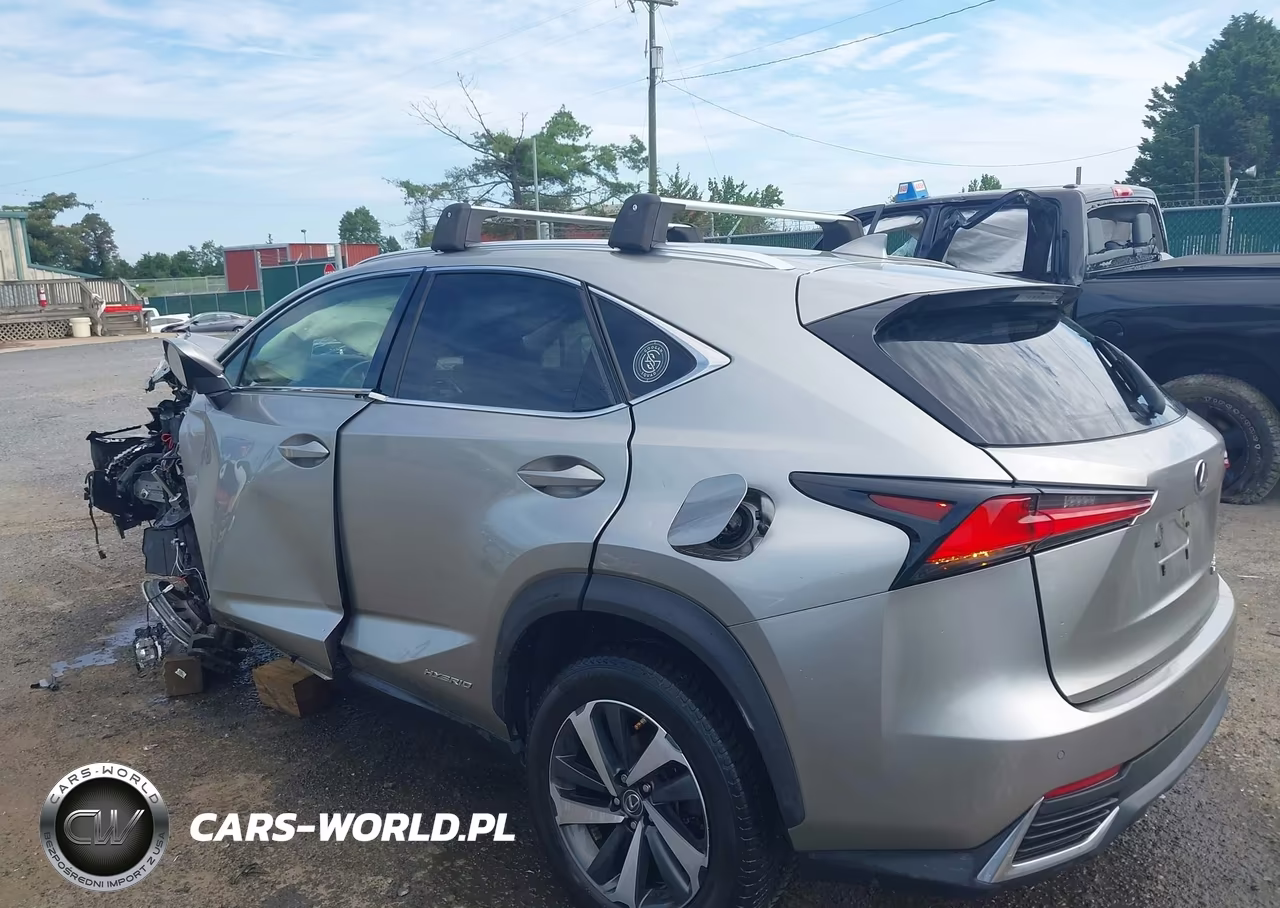 2020 Lexus Nx 300H VIN:JTJGJRDZ8L2140828 - 3