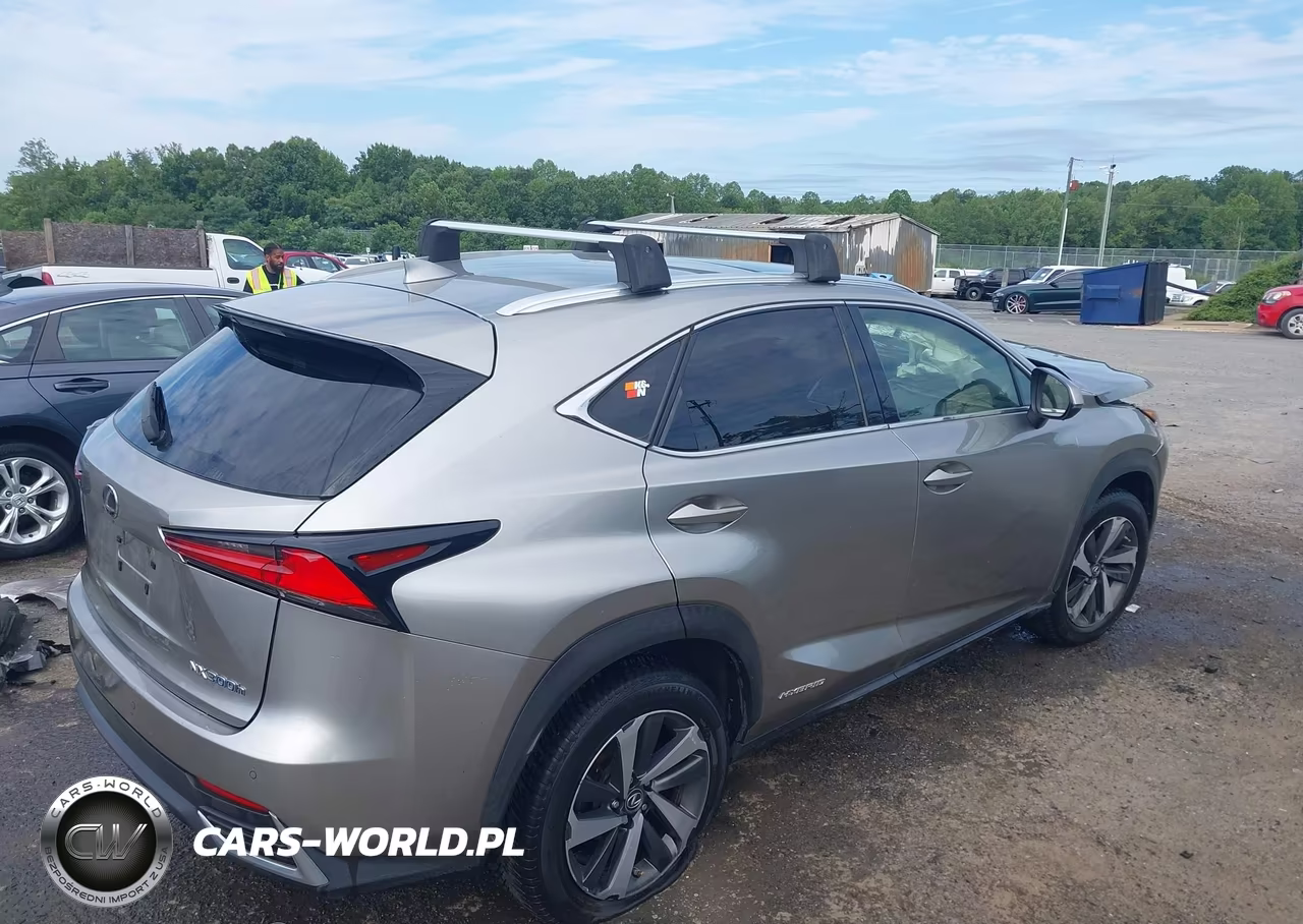 2020 Lexus Nx 300H VIN:JTJGJRDZ8L2140828 - 4