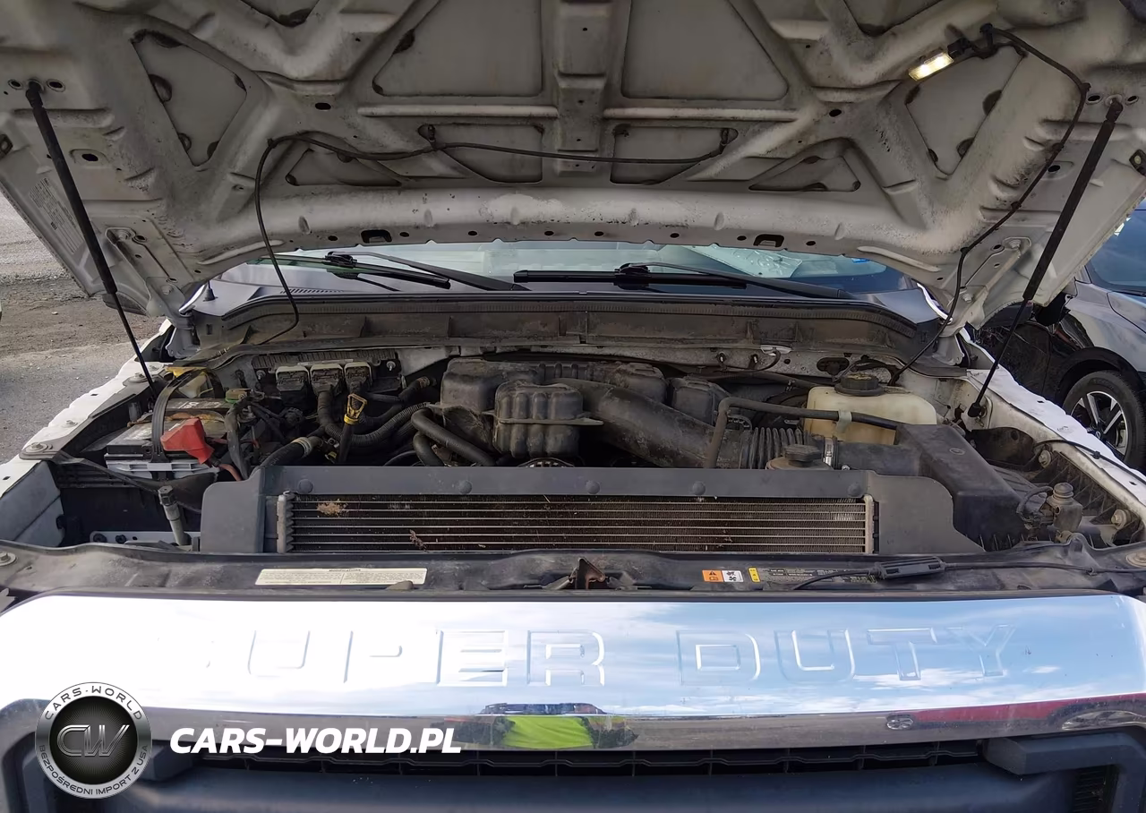 2016 Ford F-250 Xl VIN:1FTBF2A60GED20146 - 10