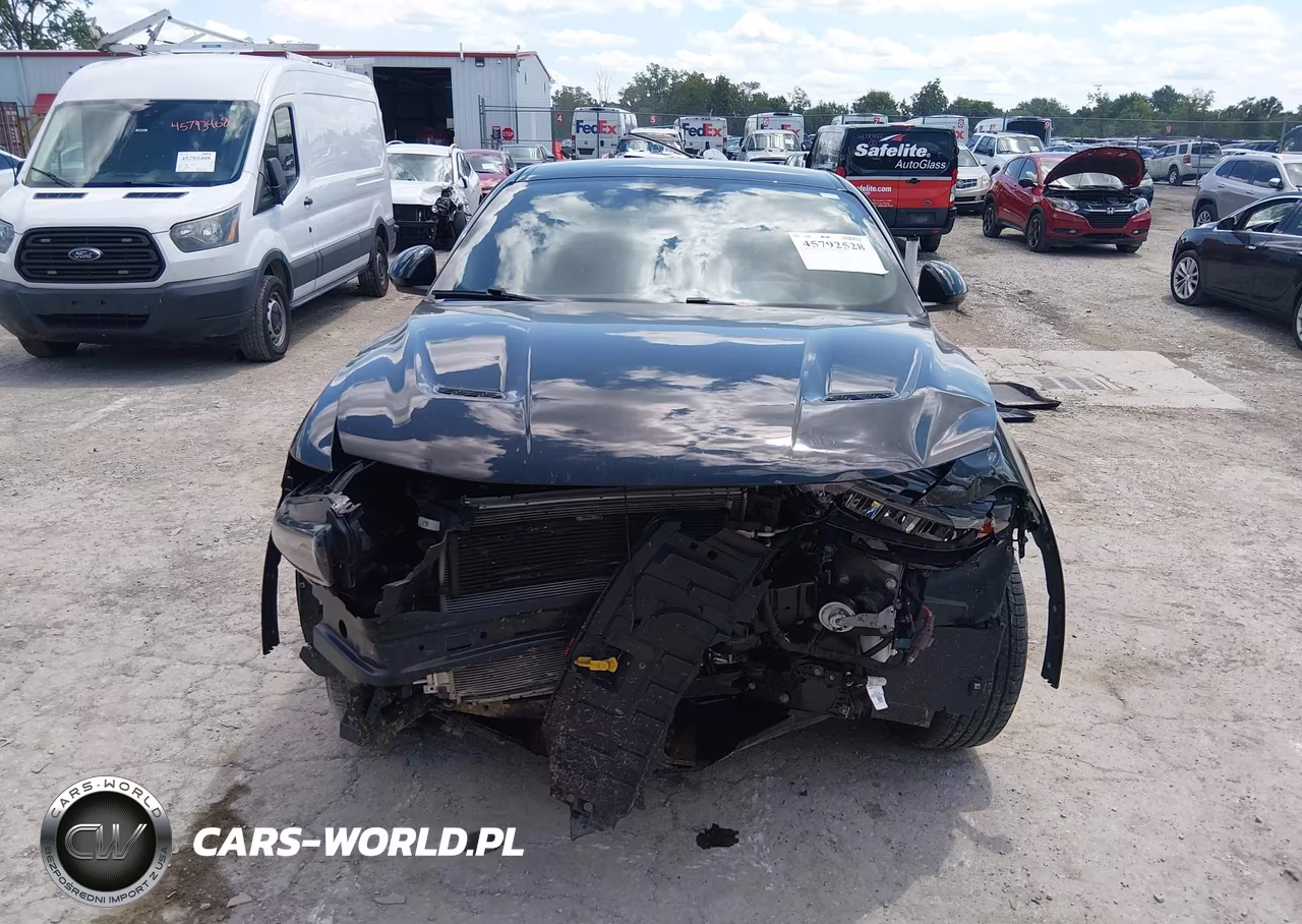 2023 Dodge Hornet Gt Awd VIN:ZACNDFAN8P3A02243 - 11