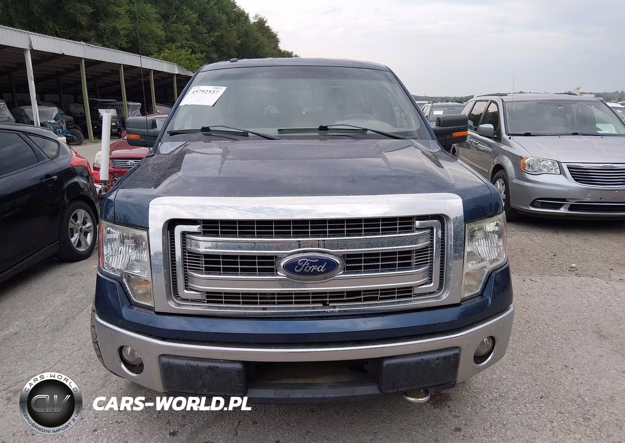 2013 Ford F-150 Xlt VIN:1FTFW1EF3DKE75485 - 12