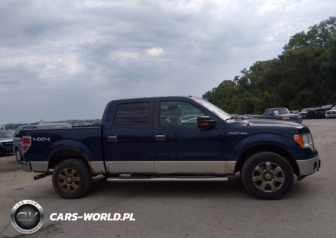 2013 Ford F-150 Xlt VIN:1FTFW1EF3DKE75485 - 13