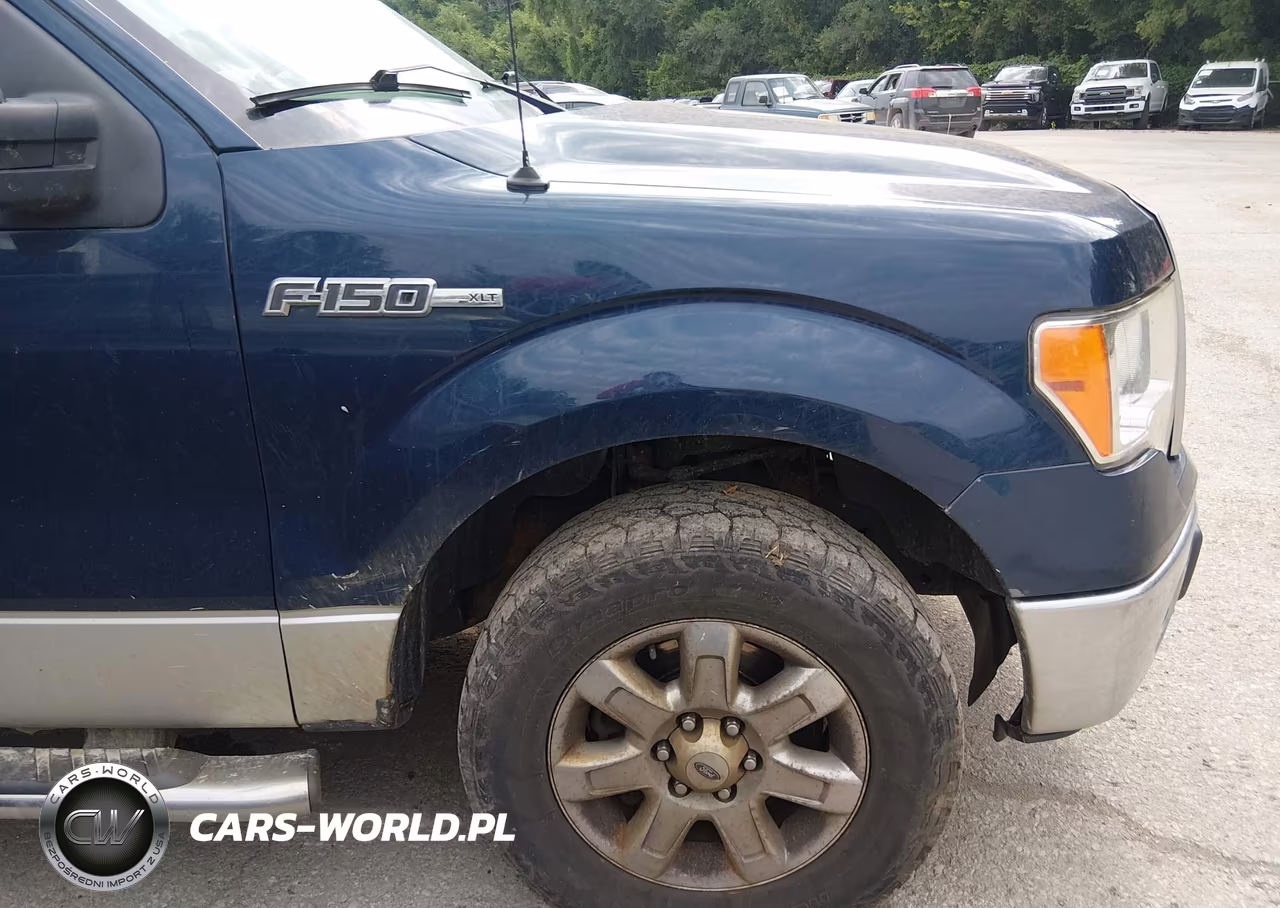 2013 Ford F-150 Xlt VIN:1FTFW1EF3DKE75485 - 6