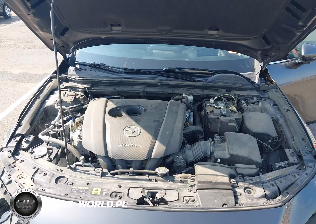 2019 Mazda Mazda3 Premium Package VIN:JM1BPANM8K1119496 - 10