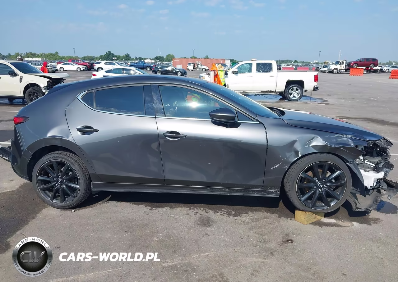 2019 Mazda Mazda3 Premium Package VIN:JM1BPANM8K1119496 - 14