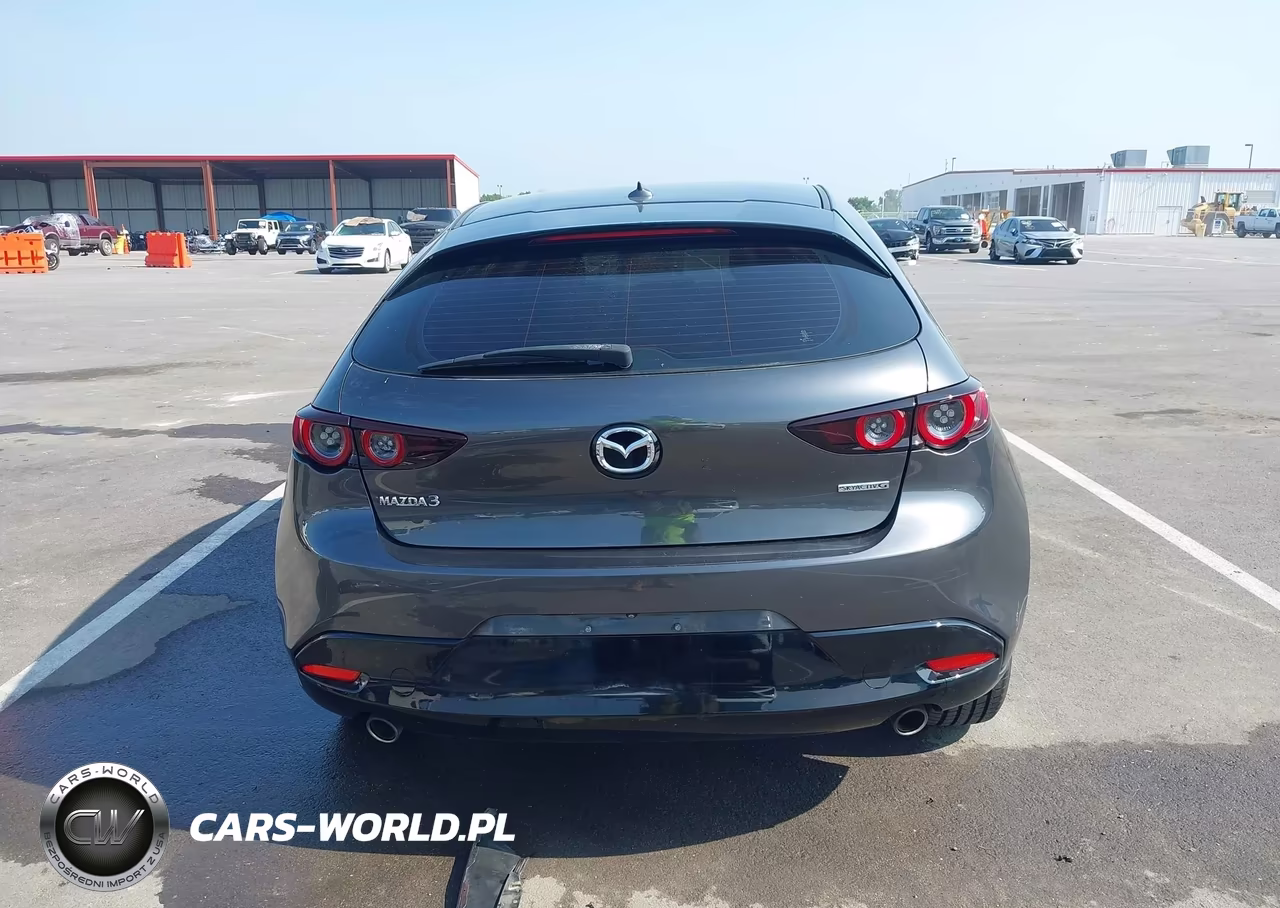 2019 Mazda Mazda3 Premium Package VIN:JM1BPANM8K1119496 - 17
