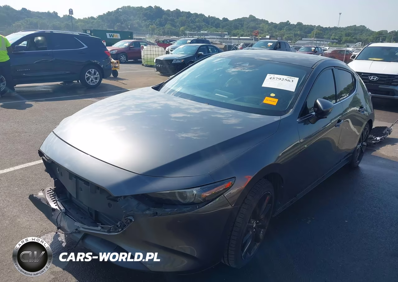 2019 Mazda Mazda3 Premium Package VIN:JM1BPANM8K1119496 - 2