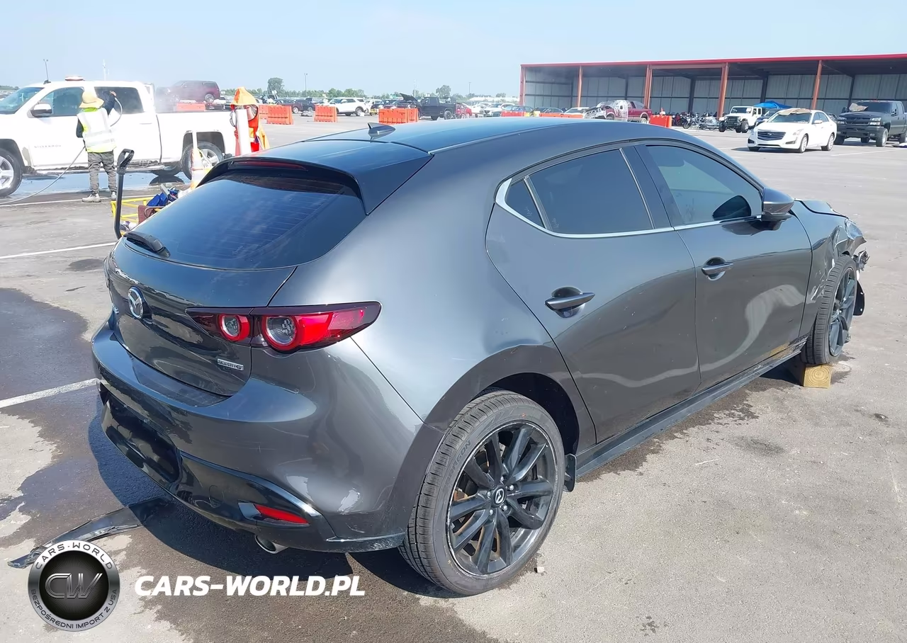 2019 Mazda Mazda3 Premium Package VIN:JM1BPANM8K1119496 - 4
