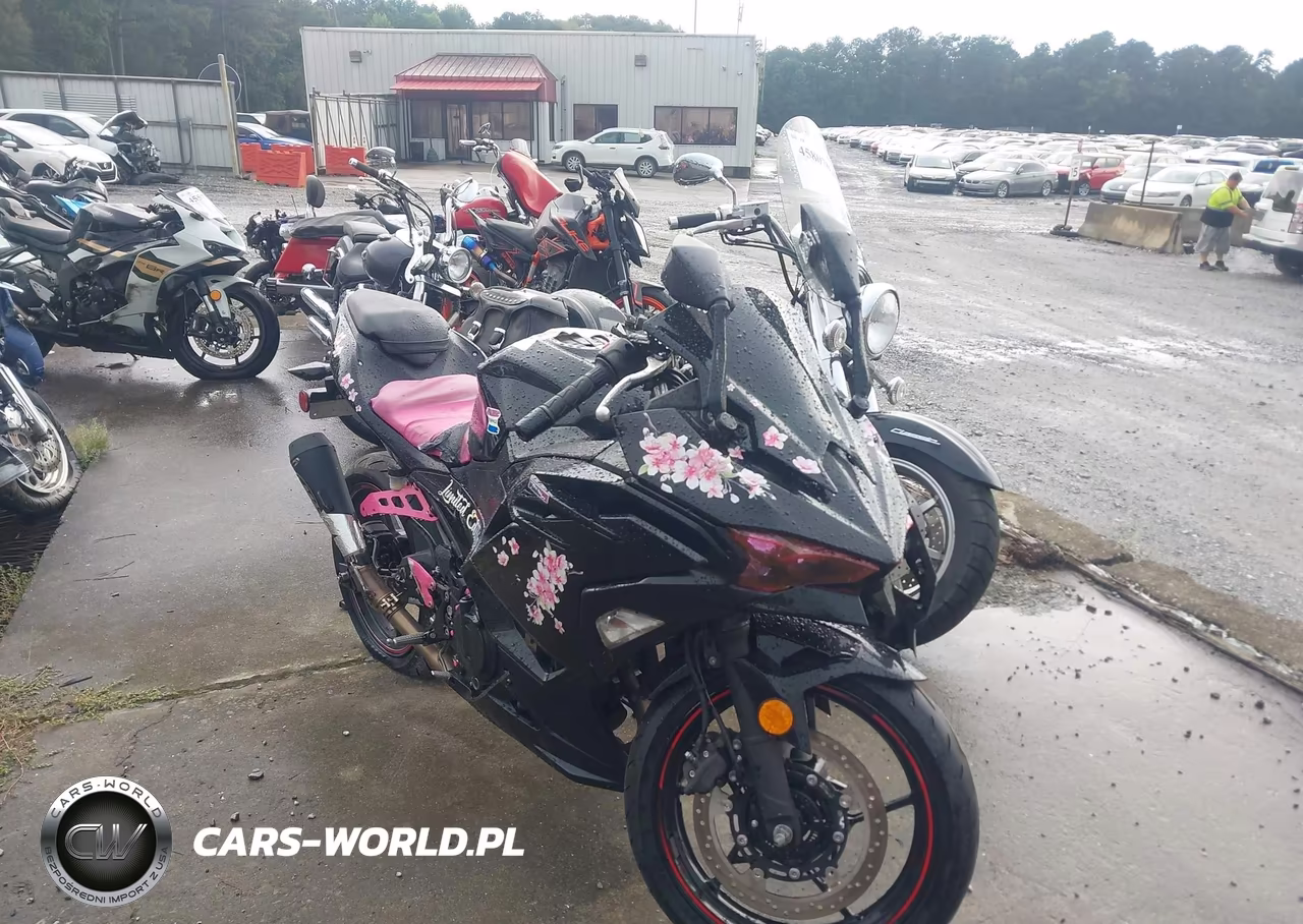 2025 Kawasaki Ex500 – zdjęcie 1 z 13