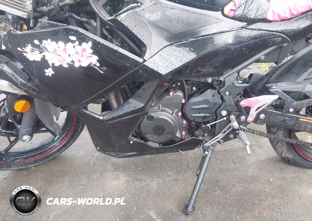 2025 Kawasaki Ex500 VIN:ML5EXGG17SDA44613 - 9