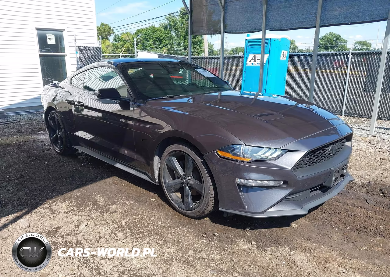 2023 Ford Mustang Ecoboost Fastback VIN:1FA6P8TH9P5101045 - 1