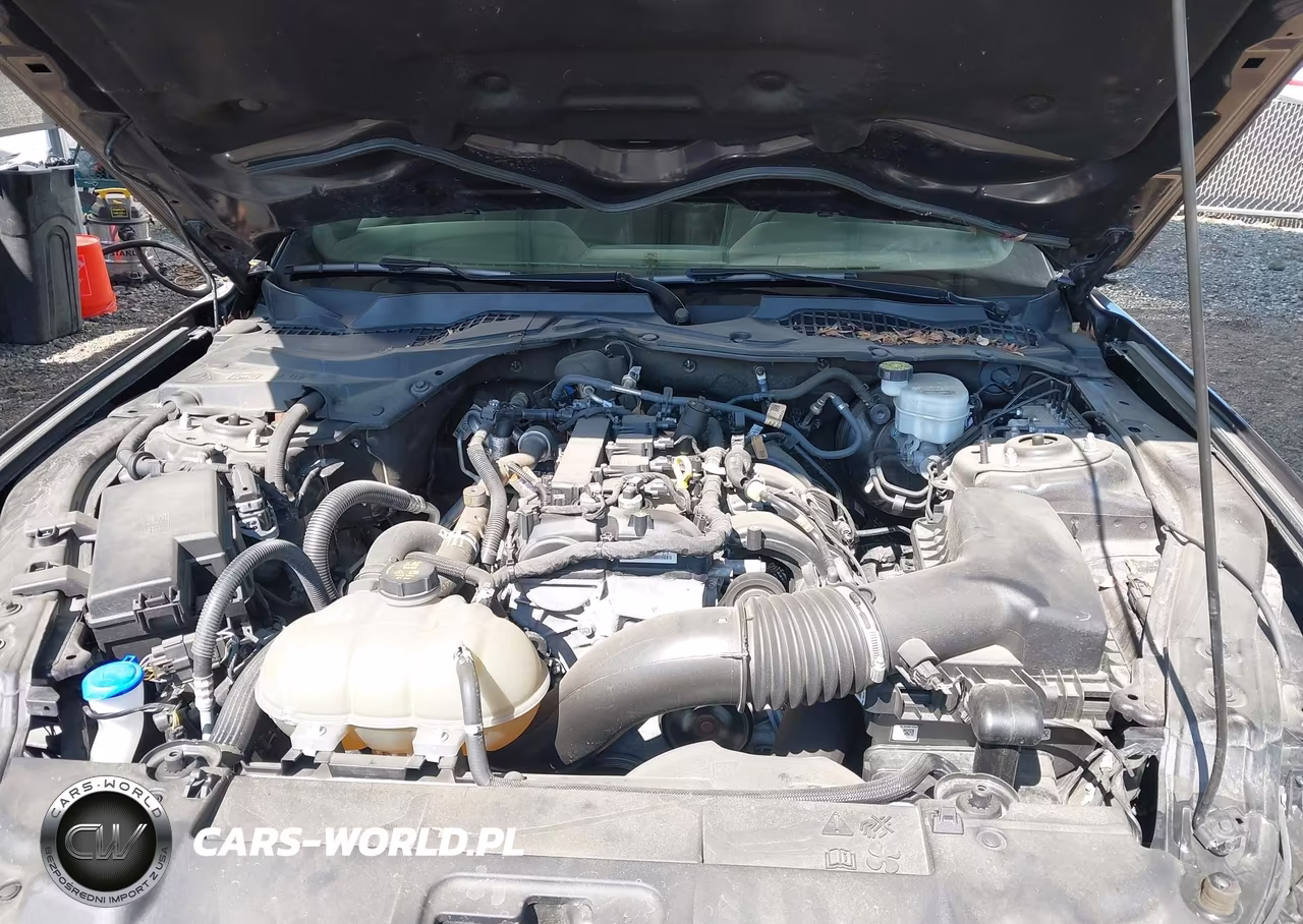 2023 Ford Mustang Ecoboost Fastback VIN:1FA6P8TH9P5101045 - 10
