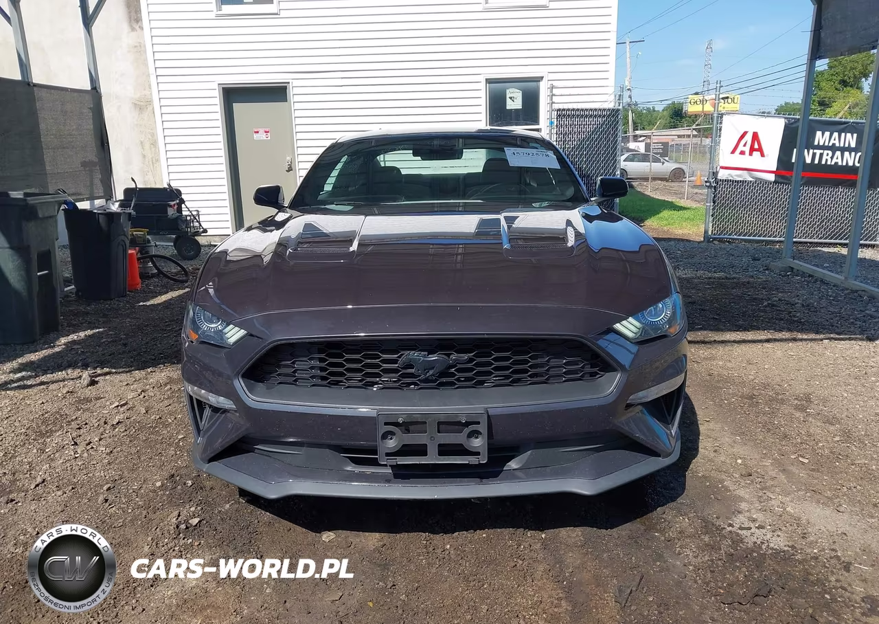 2023 Ford Mustang Ecoboost Fastback VIN:1FA6P8TH9P5101045 - 13