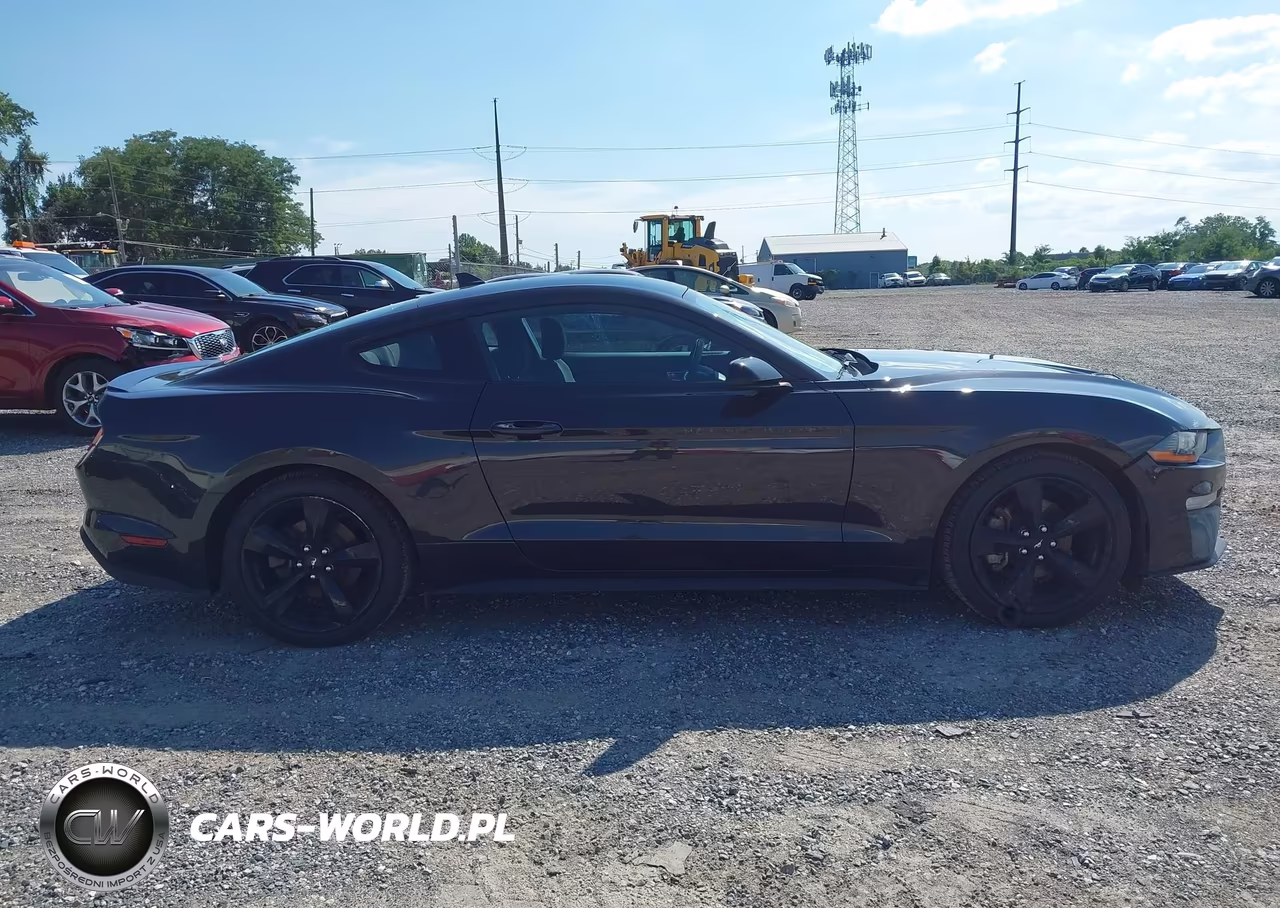 2023 Ford Mustang Ecoboost Fastback VIN:1FA6P8TH9P5101045 - 14