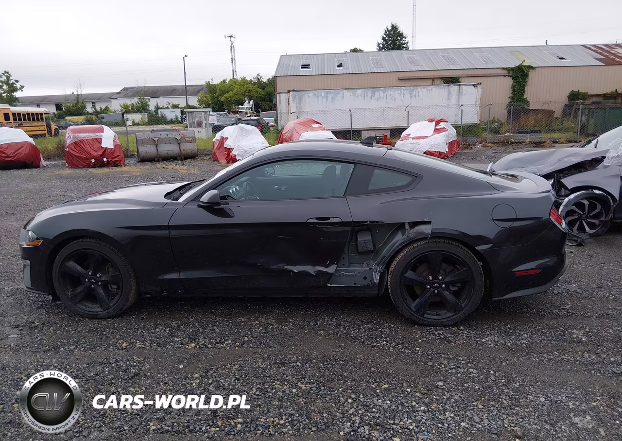2023 Ford Mustang Ecoboost Fastback VIN:1FA6P8TH9P5101045 - 15