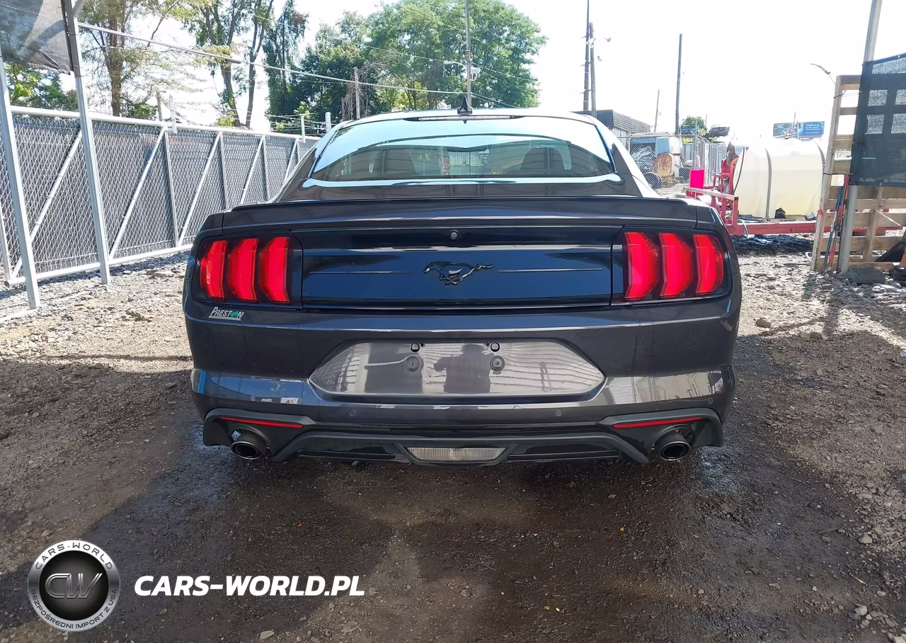 2023 Ford Mustang Ecoboost Fastback VIN:1FA6P8TH9P5101045 - 17