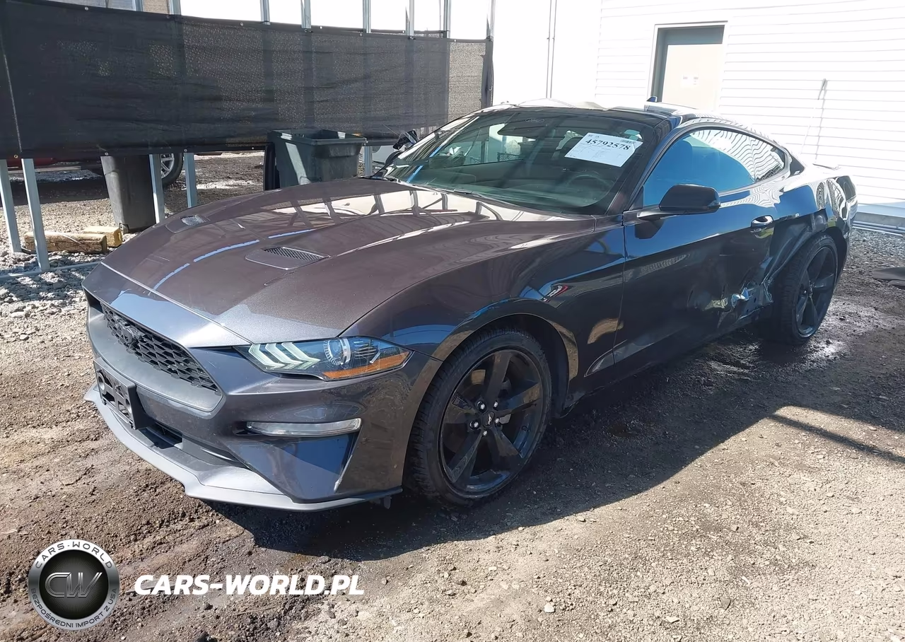 2023 Ford Mustang Ecoboost Fastback VIN:1FA6P8TH9P5101045 - 2
