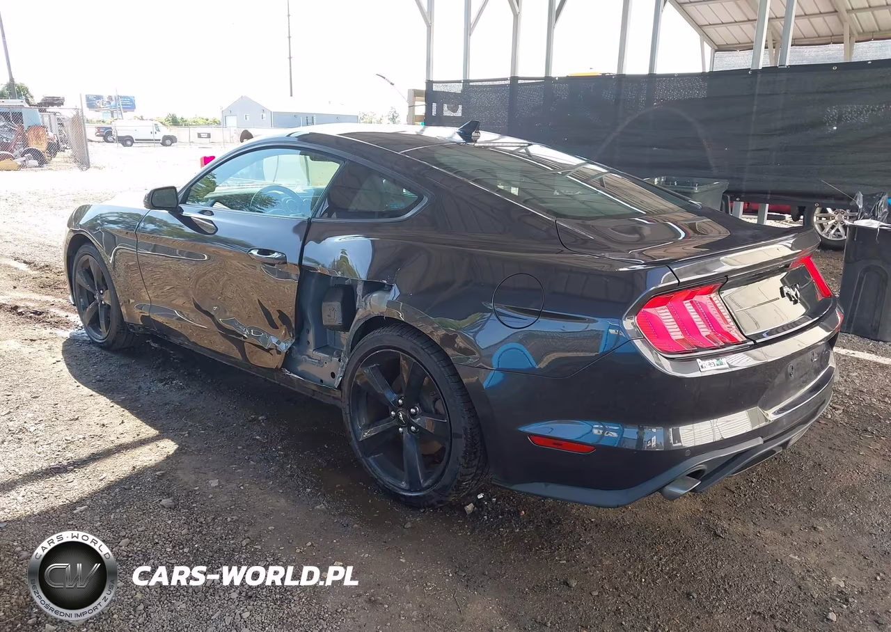 2023 Ford Mustang Ecoboost Fastback VIN:1FA6P8TH9P5101045 - 3