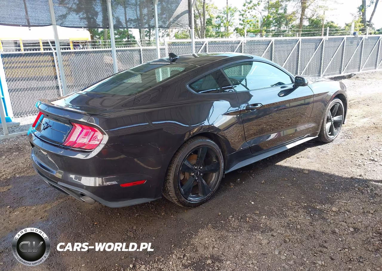 2023 Ford Mustang Ecoboost Fastback VIN:1FA6P8TH9P5101045 - 4