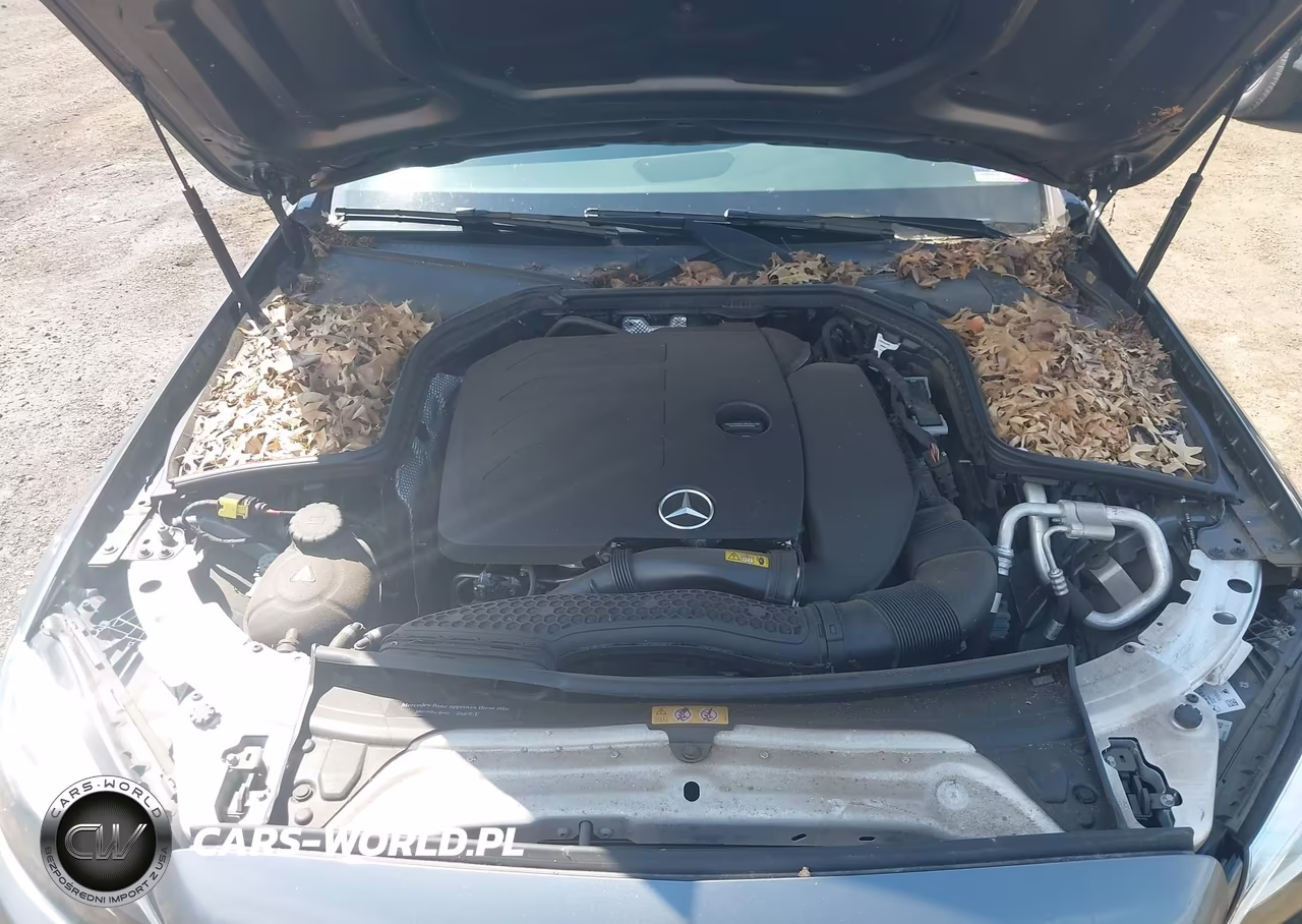 2019 Mercedes-Benz C 300 4Matic VIN:55SWF8EB3KU284535 - 10