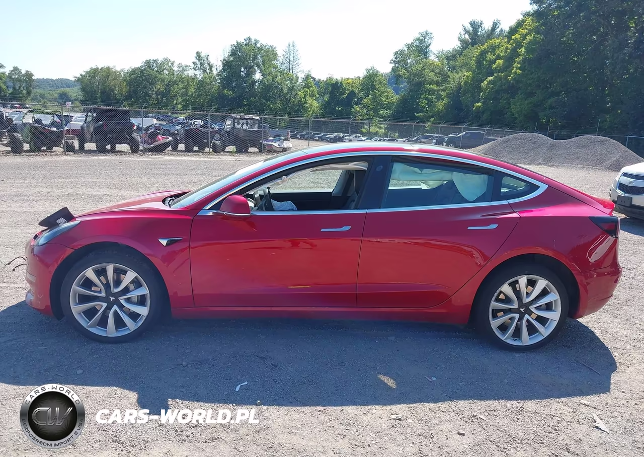 2020 Tesla Model 3 Standard Range Plus Rear-Wheel Drive-Standard Range Rear-Wheel Drive VIN:5YJ3E1EA4LF661283 - 12