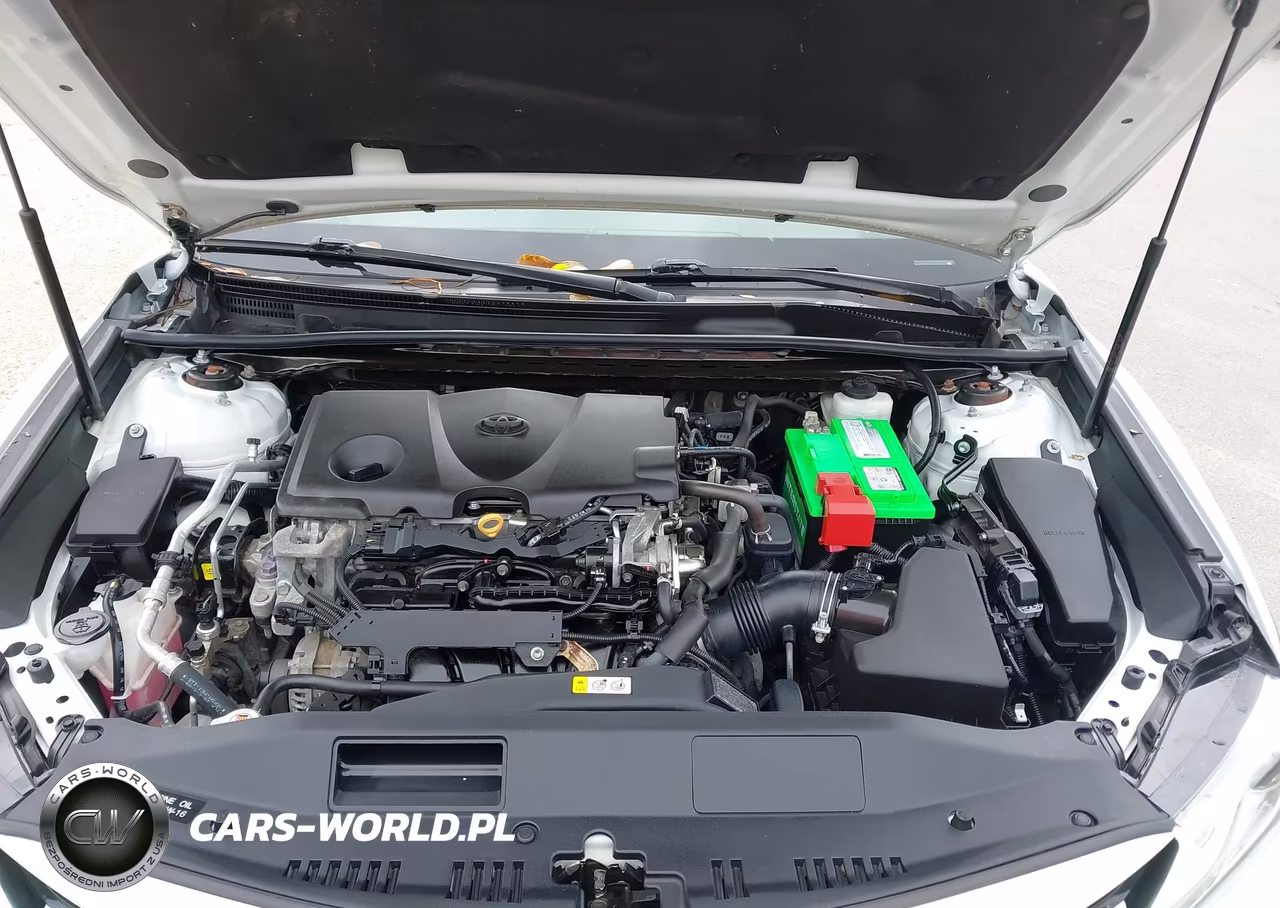 2019 Toyota Camry Xle VIN:4T1B11HK8KU839144 - 10