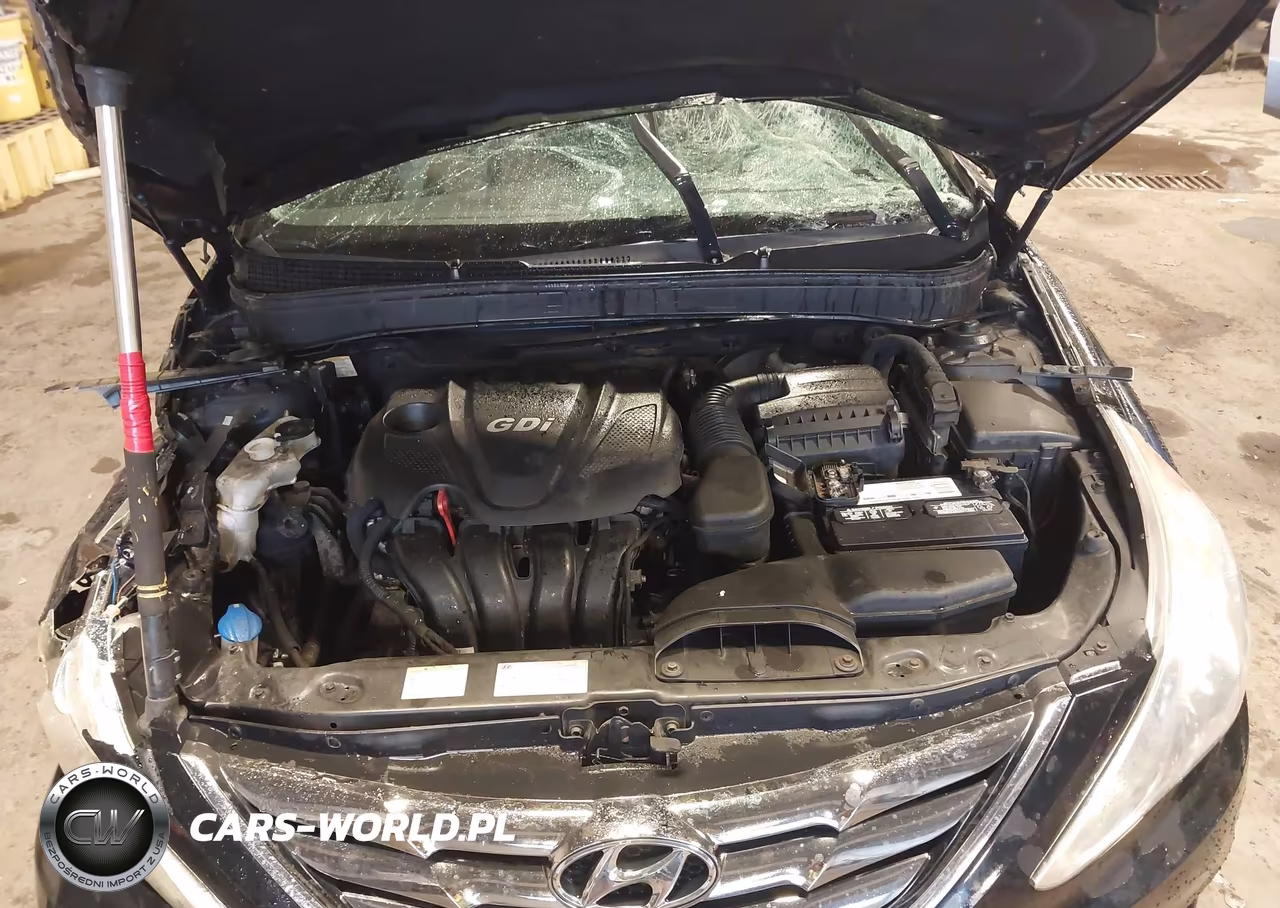 2013 Hyundai Sonata Limited VIN:5NPEC4AC2DH544196 - 10