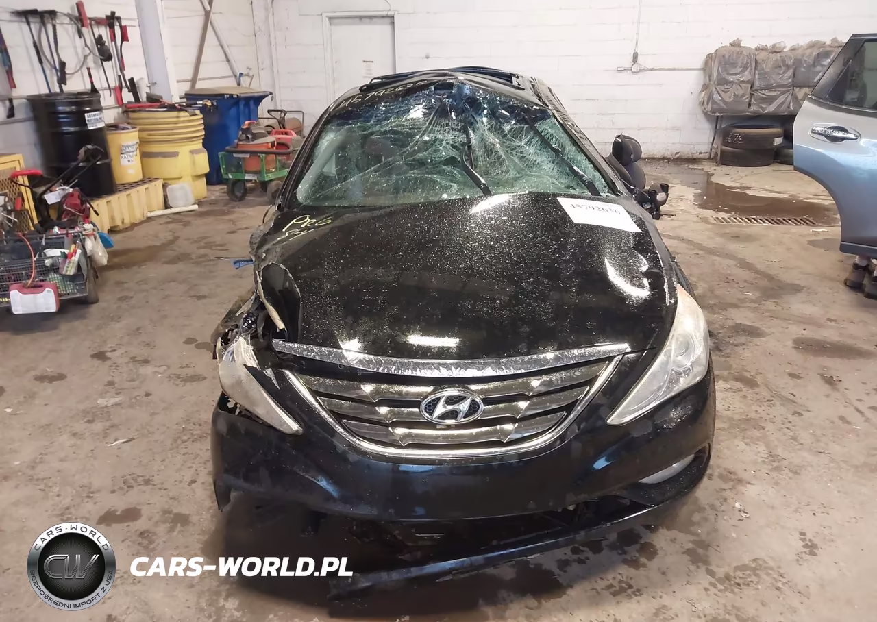 2013 Hyundai Sonata Limited VIN:5NPEC4AC2DH544196 - 12