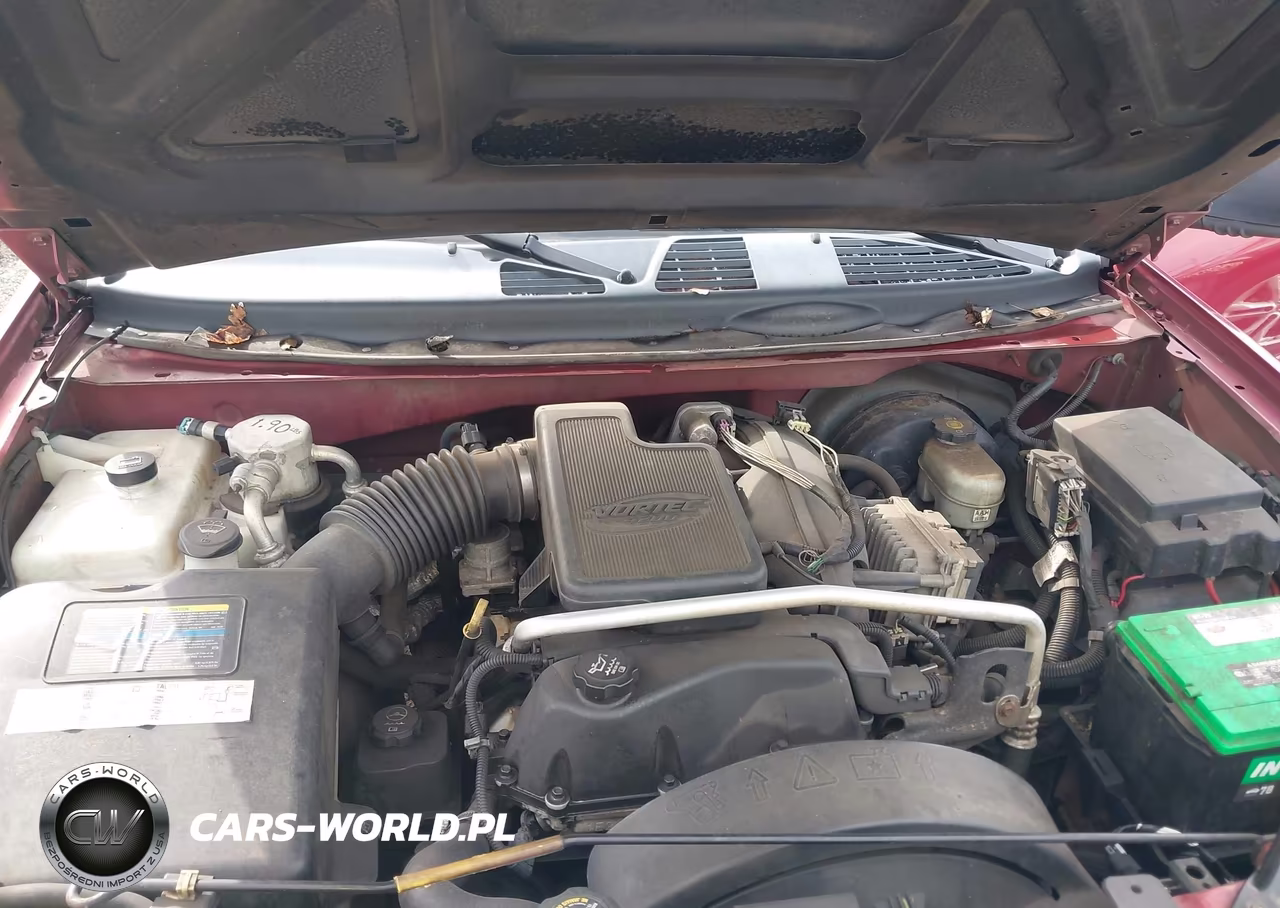 2004 Chevrolet Trailblazer Lt VIN:1GNDT13S542158475 - 10