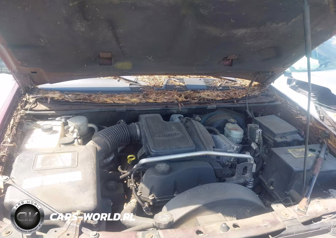 2005 Chevrolet Trailblazer Ext Ls VIN:1GNET16S356110404 - 10