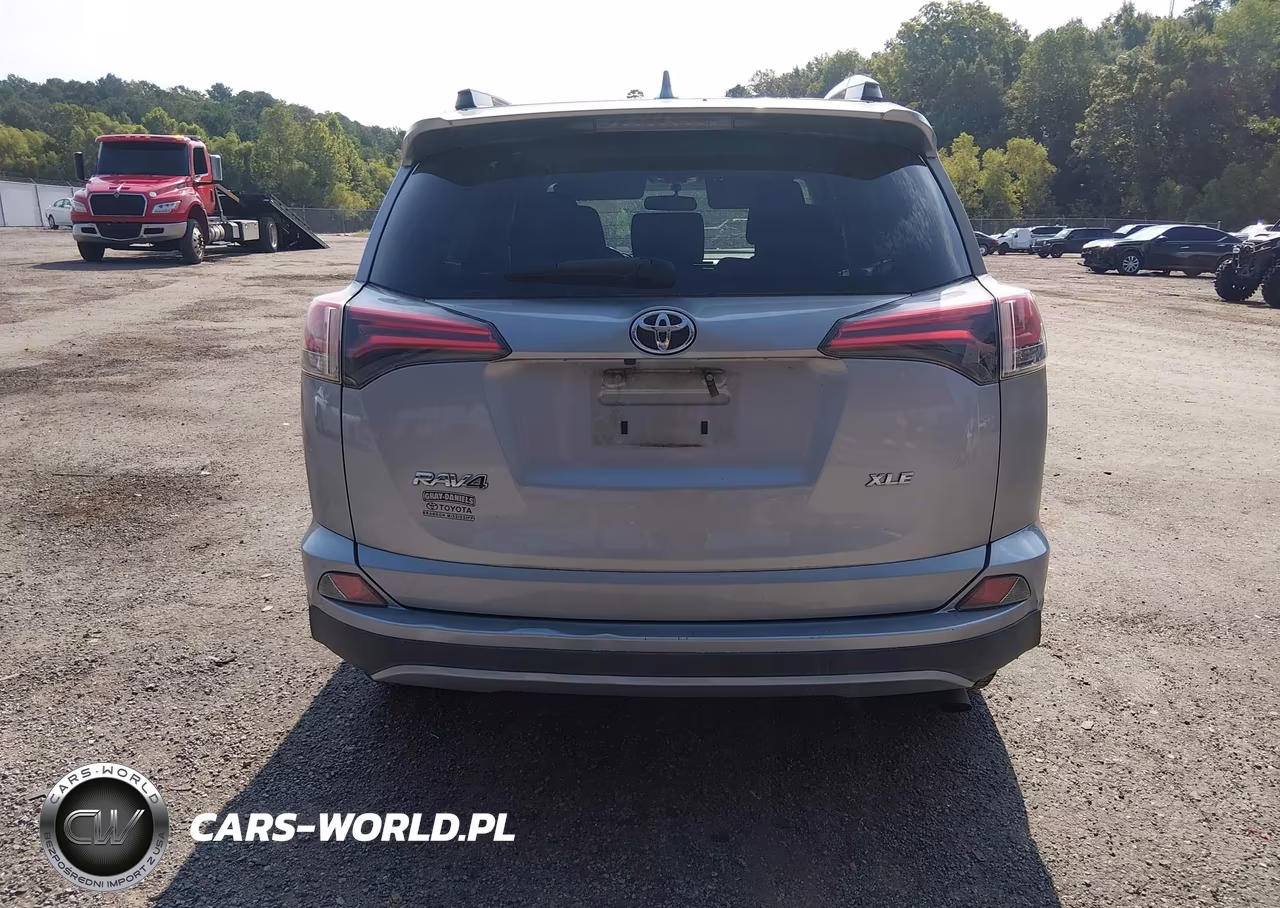 2016 Toyota Rav4 Xle VIN:2T3WFREV9GW283876 - 16