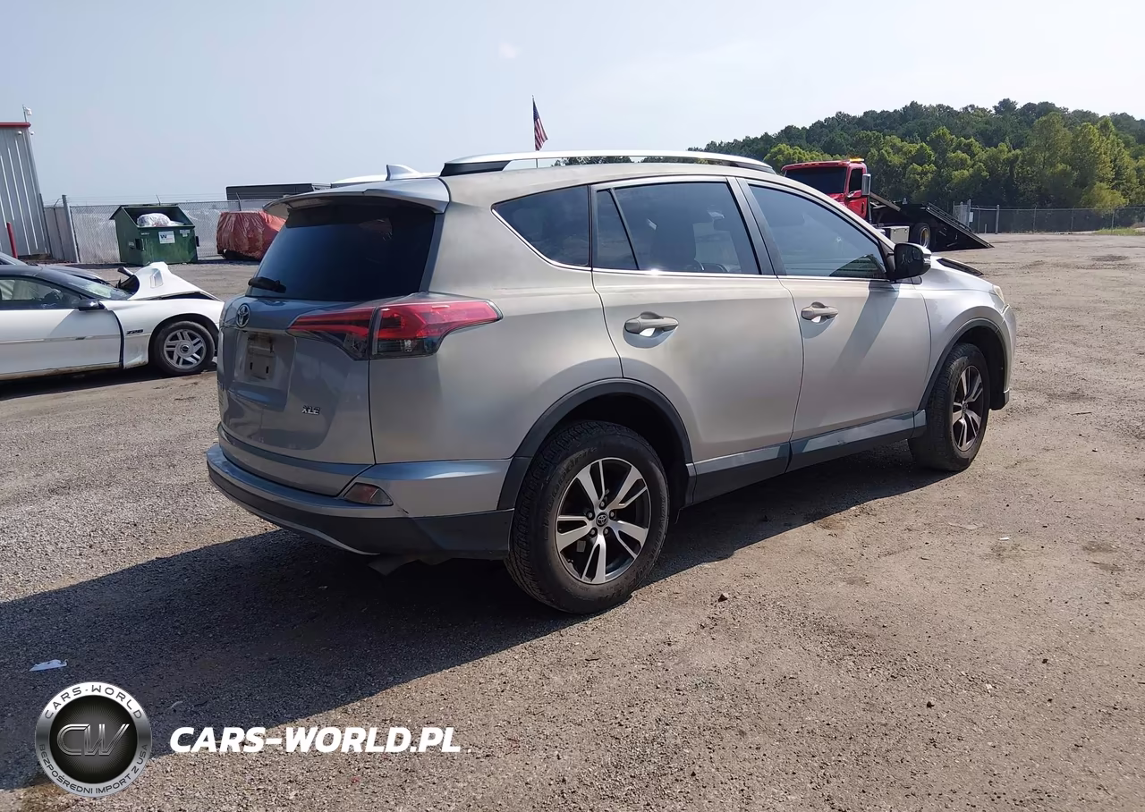 2016 Toyota Rav4 Xle VIN:2T3WFREV9GW283876 - 4