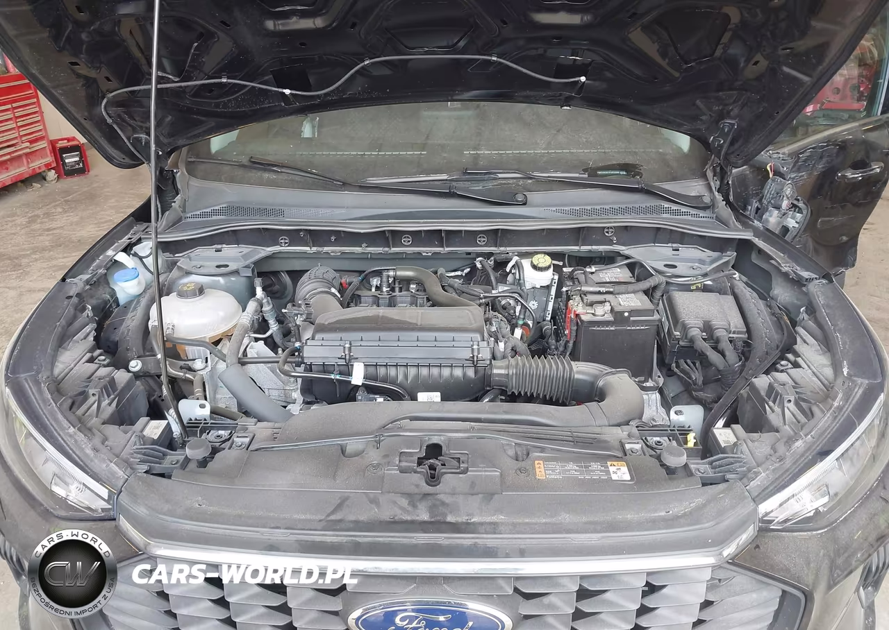2023 Ford Escape Active VIN:1FMCU9GN1PUB33968 - 10