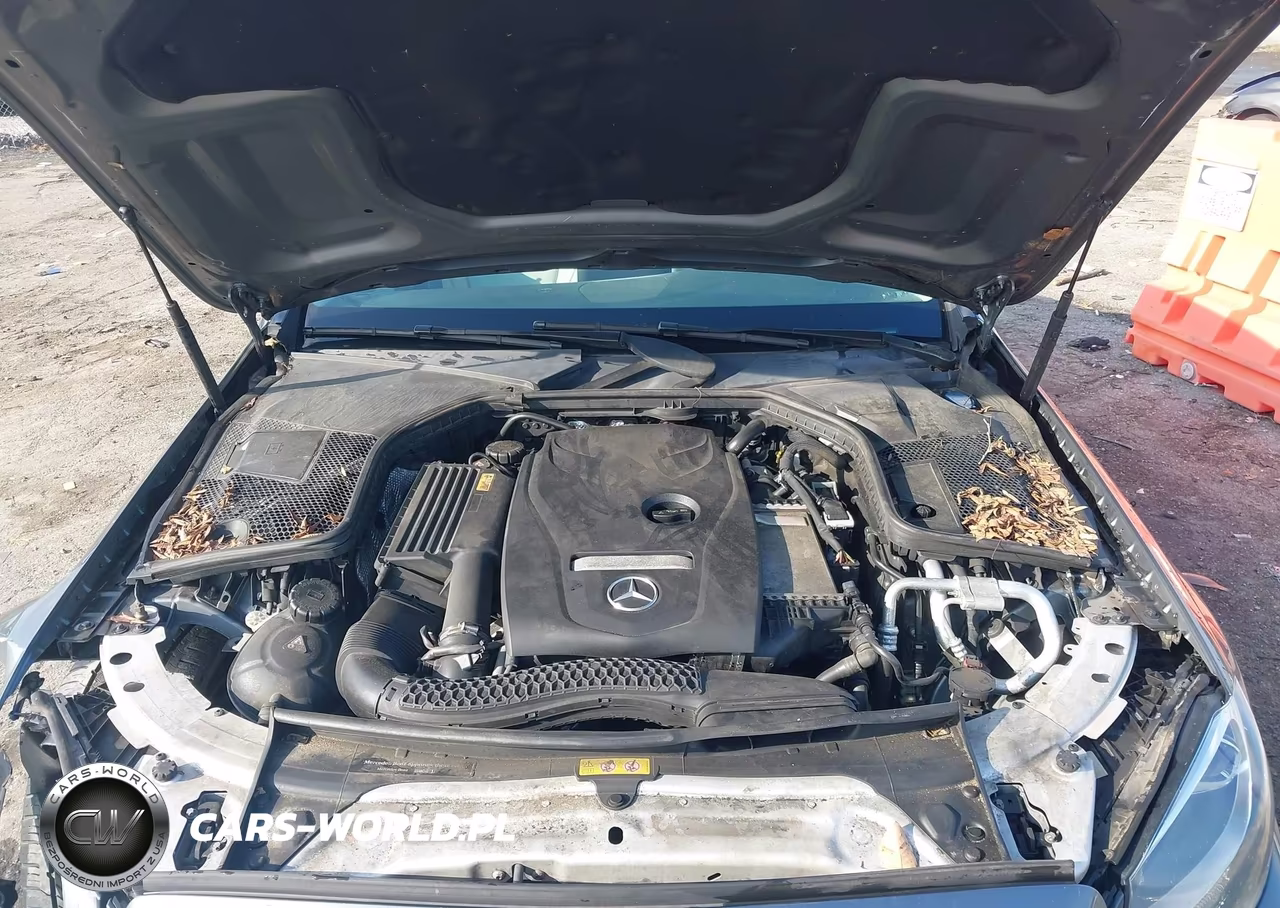 2017 Mercedes-Benz C 300 4Matic VIN:55SWF4KB2HU198266 - 10